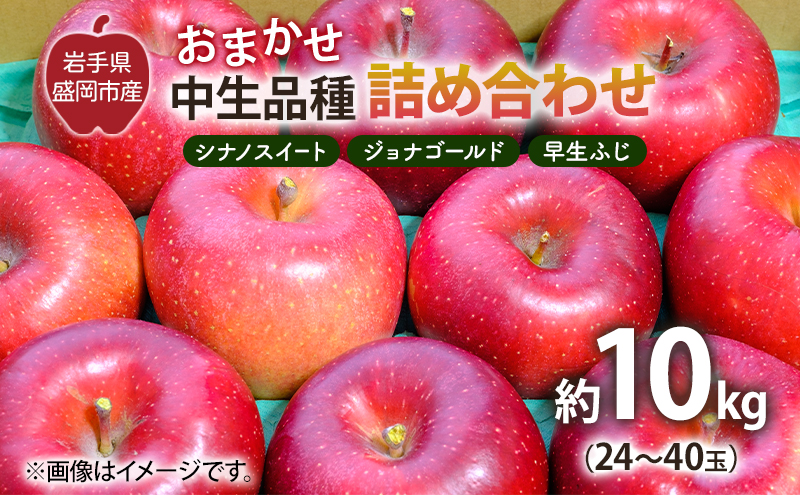 【10月から発送】 りんご 盛岡から「農で人をつなぐ」藤与果樹園：おまかせ中生品種詰め合わせ（ シナノスイート ジョナゴールド 早生ふじ ）約10kg 24～40玉 玉数指定不可 詰め合わせ 岩手 盛岡