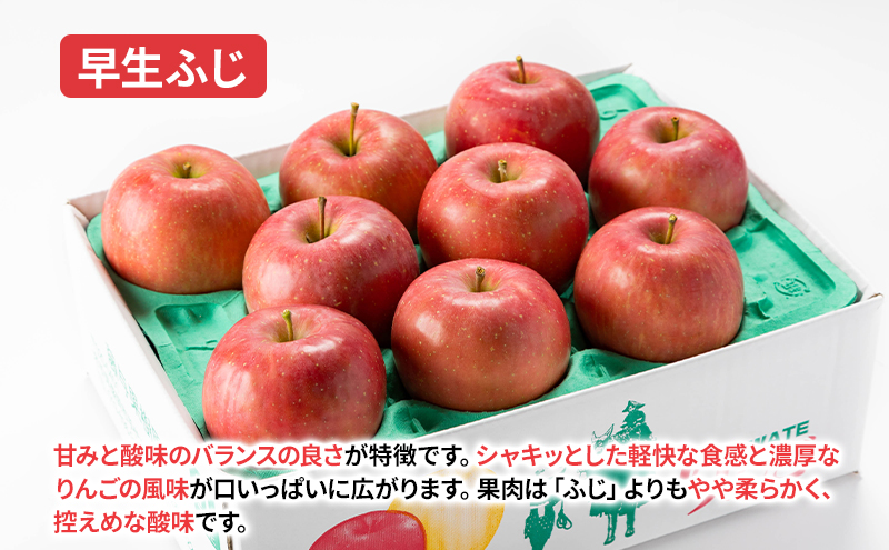 【10月から発送】 りんご 盛岡から「農で人をつなぐ」藤与果樹園：おまかせ中生品種詰め合わせ（ シナノスイート ジョナゴールド 早生ふじ ）約10kg 24～40玉 玉数指定不可 詰め合わせ 岩手 盛岡