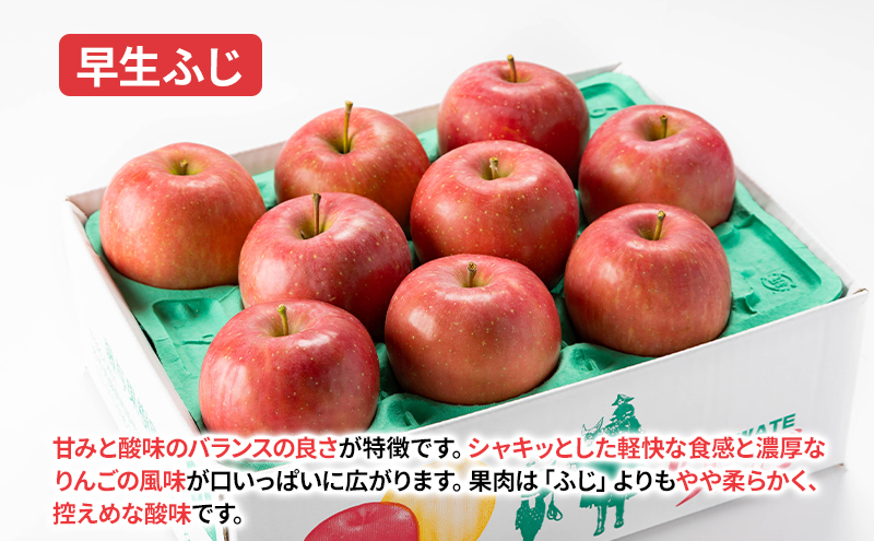 ç岡ããã蟲ã§äººãã€ãªããè€äžææš¹åïŒãèš³ã¢ãªãããŸããäžçå皮詰ãåããïŒã·ããã¹ã€ãŒãããžã§ããŽãŒã«ããæ©çãµãããããŸåæãããã®ããããçãã2皮以äžïŒ10kg èš³ã¢ãª äžæã å· èŠæ Œå€ ãã«ãŒã æç© æ¬ã®ãã«ãŒã æ¬ã®æç© æ¬ å¬ å²©æ ç岡 ç£å°çŽé çæ°æå®äžå¯ è©°ãåãã 岩æ ç岡