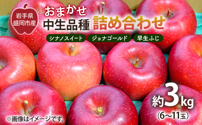 【10月から発送】 りんご 盛岡から「農で人をつなぐ」藤与果樹園：おまかせ中生品種詰め合わせ（ シナノスイート ジョナゴールド 早生ふじ ）約3kg 6～11玉 玉数指定不可 詰め合わせ 岩手 盛岡