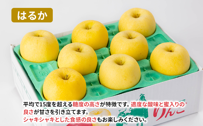 【11月から発送】 りんご 盛岡から「農で人をつなぐ」藤与果樹園：おまかせ晩生品種詰め合わせ（ シナノゴールド 王林 こうこう サンふじ はるか ）約3kg 6～11玉 玉数指定不可 詰め合わせ 岩手 盛岡