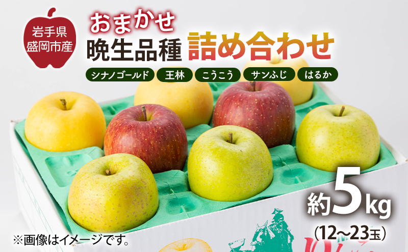 【11月から発送】 りんご 盛岡から「農で人をつなぐ」藤与果樹園：おまかせ晩生品種詰め合わせ（ シナノゴールド 王林 こうこう サンふじ はるか ）約5kg 12～23玉 玉数指定不可 詰め合わせ 岩手 盛岡