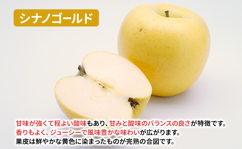 盛岡から「農で人をつなぐ」藤与果樹園：《訳アリ》おまかせ晩生品種詰め合わせ（シナノゴールド、王林、こうこう、サンふじ、はるか、金星、ぐんま名月、シナノスイート等から２種以上）10kg 訳アリ 不揃い 傷 規格外 フルーツ 果物 旬のフルーツ 旬の果物 旬 冬 岩手 盛岡 産地直送 玉数指定不可 詰め合わせ 岩手 盛岡