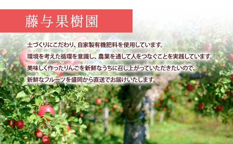 【8月から発送】 りんご 盛岡から「農で人をつなぐ」藤与果樹園： つがる 約3kg 6～11玉 玉数指定不可 詰め合わせ 岩手 盛岡