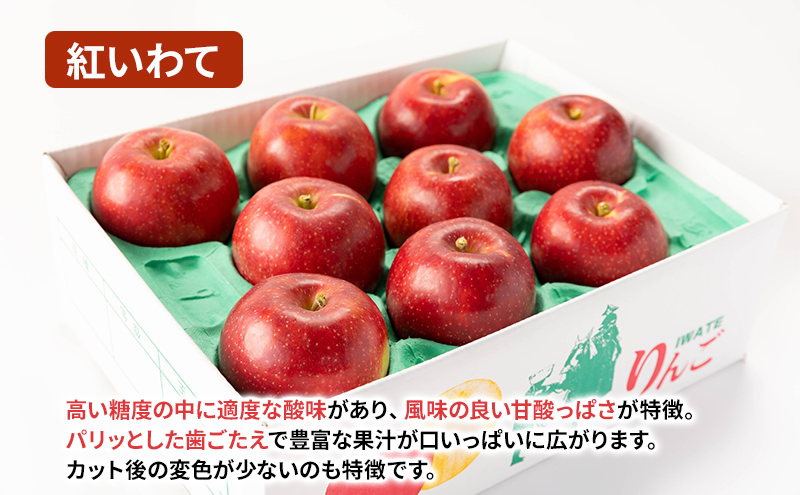 【8月から発送】 りんご 盛岡から「農で人をつなぐ」藤与果樹園： 紅いわて 約3kg 6～11玉 玉数指定不可 詰め合わせ 岩手 盛岡