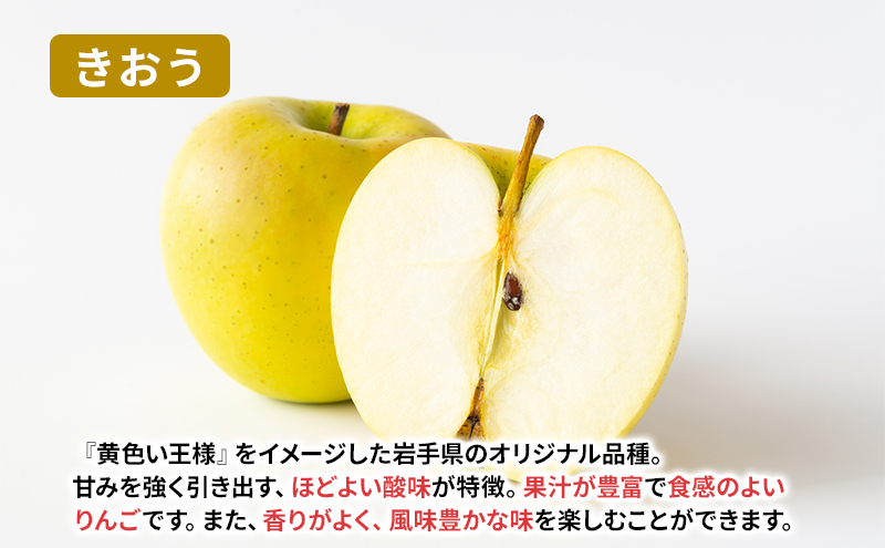 【8月から発送】 りんご 盛岡から「農で人をつなぐ」藤与果樹園： きおう 約5kg 12～23玉 玉数指定不可 詰め合わせ 岩手 盛岡