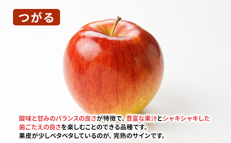 【8月から発送】 りんご 盛岡から「農で人をつなぐ」藤与果樹園： つがる 約5kg 12～23玉 玉数指定不可 詰め合わせ 岩手 盛岡