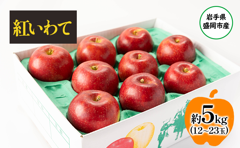 【8月から発送】 りんご 盛岡から「農で人をつなぐ」藤与果樹園： 紅いわて 約5kg 12～23玉 玉数指定不可 詰め合わせ 岩手 盛岡