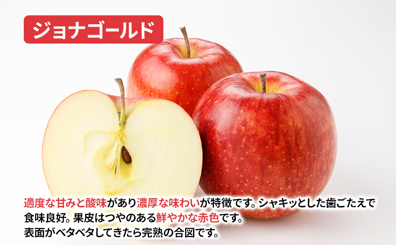 【10月から発送】 りんご 盛岡から「農で人をつなぐ」藤与果樹園： ジョナゴールド 約5kg 12～23玉 玉数指定不可 詰め合わせ 岩手 盛岡