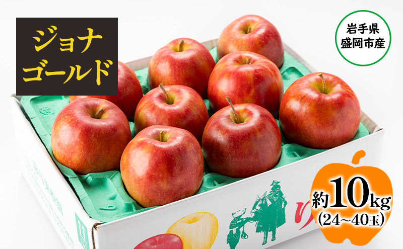 【10月から発送】 りんご 盛岡から「農で人をつなぐ」藤与果樹園： ジョナゴールド 約10kg 24～40玉 玉数指定不可 詰め合わせ 岩手 盛岡