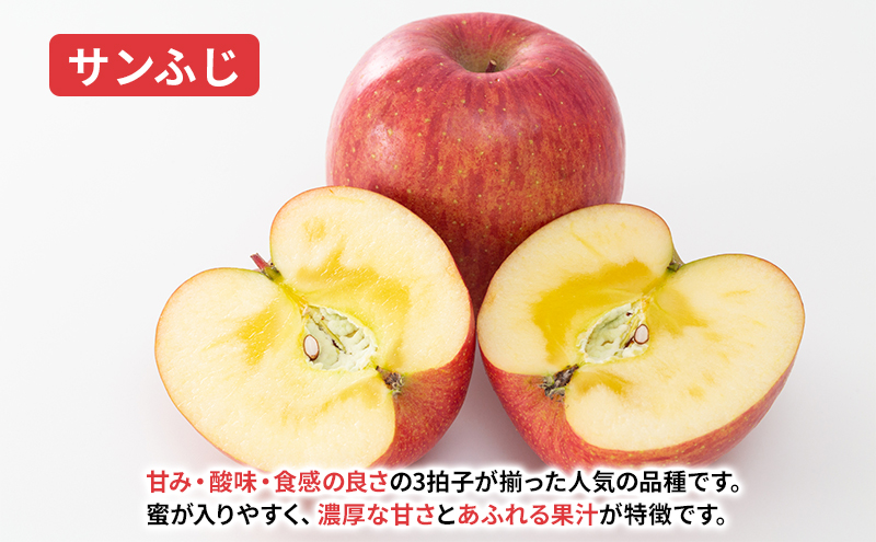 【11月から発送】 りんご 盛岡から「農で人をつなぐ」藤与果樹園： サンふじ 約5kg 12～23玉 玉数指定不可 詰め合わせ 岩手 盛岡