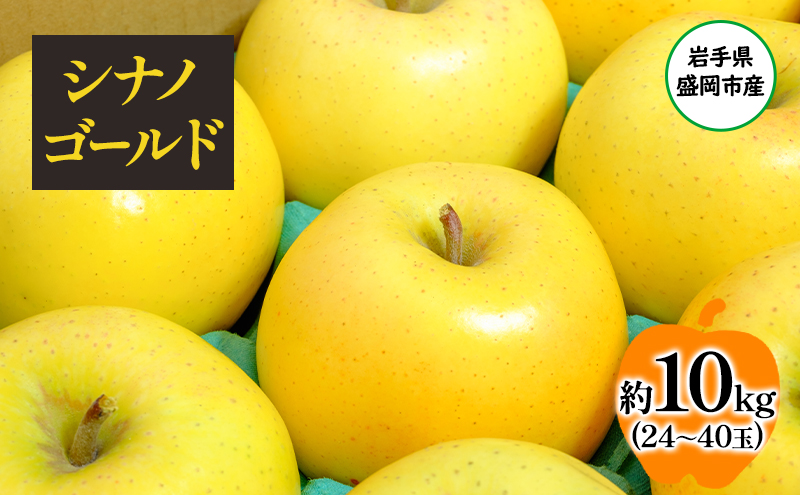 【11月から発送】 りんご 盛岡から「農で人をつなぐ」藤与果樹園： シナノゴールド 約10kg 24～40玉 玉数指定不可 詰め合わせ 岩手 盛岡