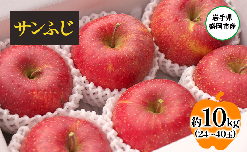 【11月から発送】 りんご 盛岡から「農で人をつなぐ」藤与果樹園： サンふじ 約10kg 24～40玉 玉数指定不可 詰め合わせ 岩手 盛岡