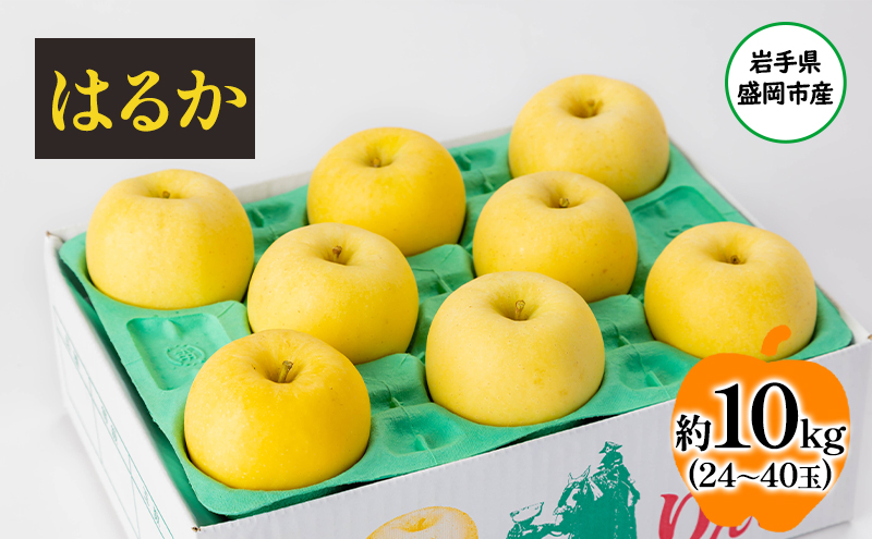 盛岡から「農で人をつなぐ」藤与果樹園：はるか10kg フルーツ 果物 旬のフルーツ 旬の果物 旬 冬 岩手 盛岡 産地直送 玉数指定不可 詰め合わせ 岩手 盛岡