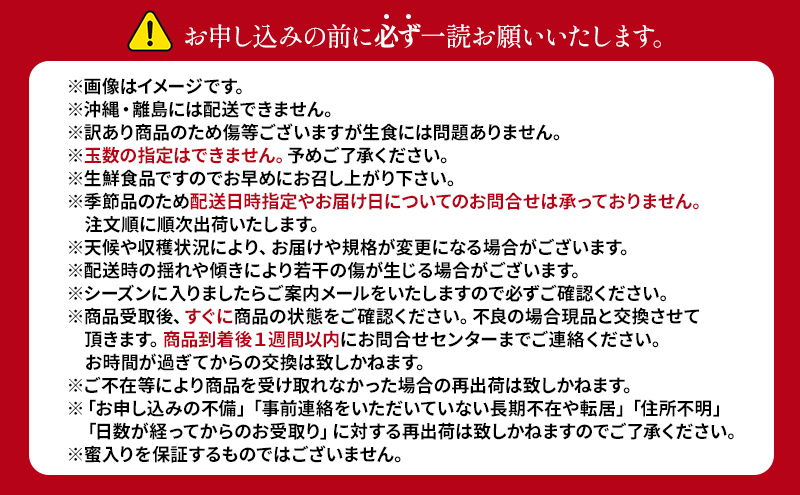 【8月から発送】 りんご 盛岡から「農で人をつなぐ」藤与果樹園：《 訳あり 》 つがる 約5kg 12～23玉 玉数指定不可 詰め合わせ 岩手 盛岡