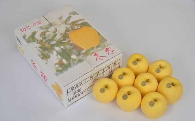 ★季節限定★冬恋はるか（2.5kg／8～11個）【季節限定・数量限定】