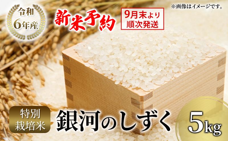 【先行予約】9月末より順次発送  りんご工房きただ  特別栽培米「銀河のしずく」5kg 令和6年 新米  米 精米 白米 お米 こめ コメ ご飯 おにぎり おむすび お弁当 和食 国産 食べ物 盛岡市 岩手県