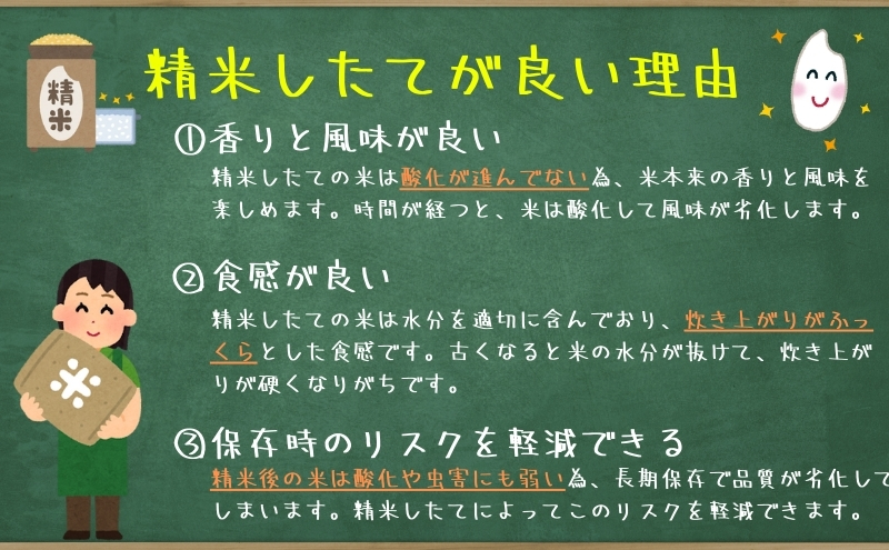 『定期便2ヵ月』銀河のしずく《特A 6年連続獲得中!》＆ひとめぼれ食べ比べセット【5分づき精米】 5kg×2 令和6年産 盛岡市産◆発送当日精米