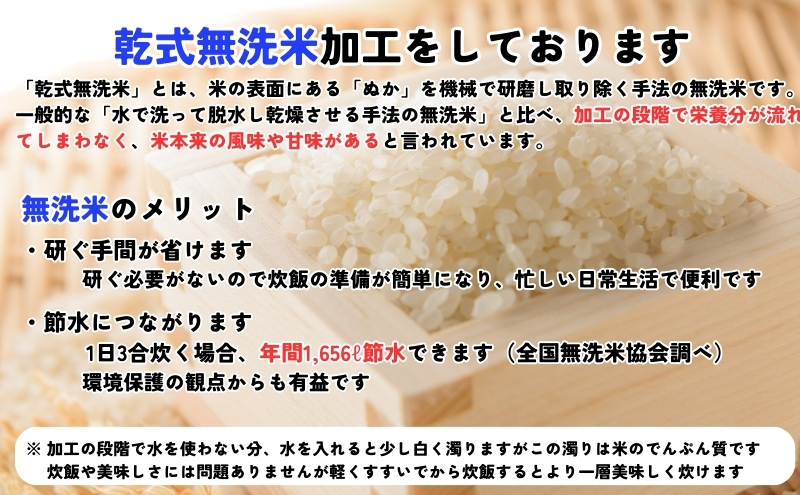 『定期便2ヵ月』銀河のしずく《特A 6年連続獲得中!》＆ひとめぼれ食べ比べセット【無洗米・ビタミン強化米入り】 5kg×2 令和6年産 盛岡市産 ◆発送当日精米・1等米のみを使用したお米マイスター監修の米◆