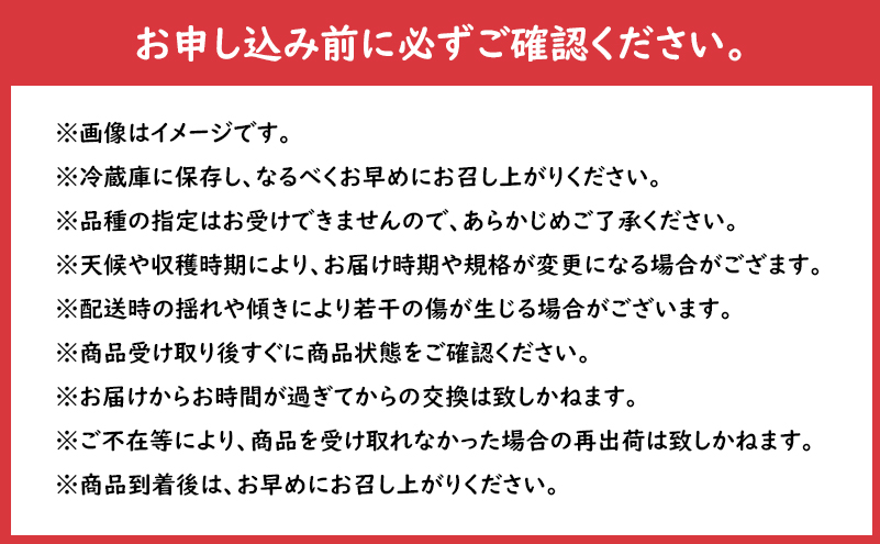 【大櫻農園】盛岡 りんご 中生 「お任せ 季節のりんご詰め合わせ」約3kg（7～9玉）