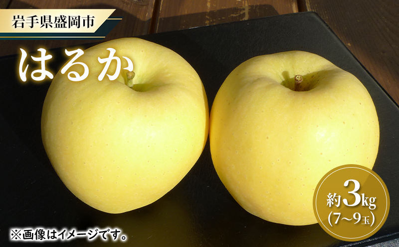 【大櫻農園】はるか 盛岡 完熟 りんご 約3kg（7～9玉） 