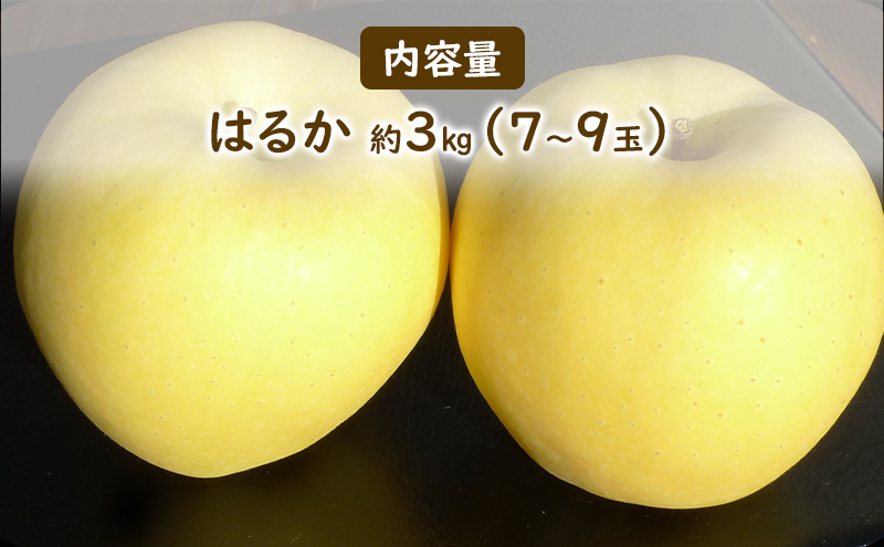 【大櫻農園】はるか 盛岡 完熟 りんご 約3kg（7～9玉） 