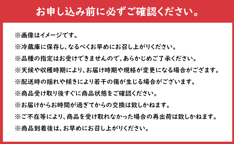 【大櫻農園】はるか 盛岡 完熟 りんご 約3kg（7～9玉） 