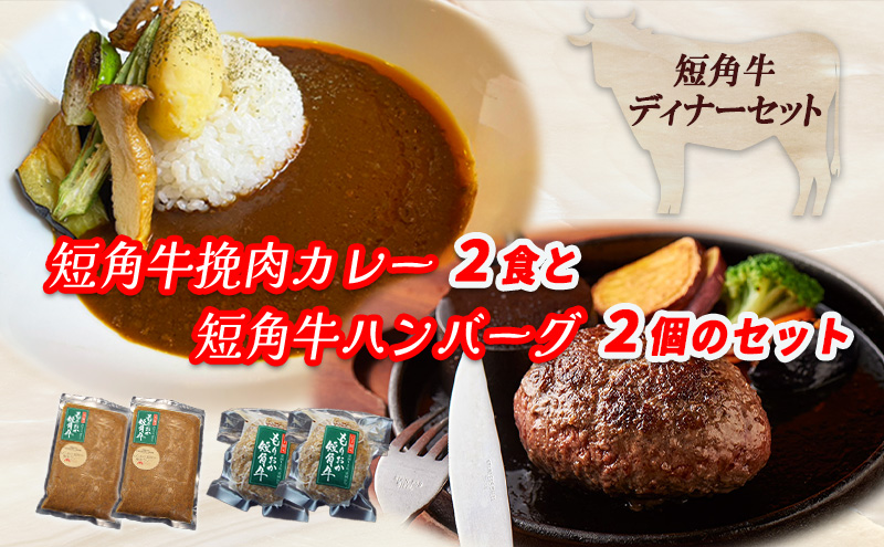 肉専門レストラン「パイオニアファーム」　短角牛焼き上げハンバーグ2個と短角牛挽肉カレー2食セット