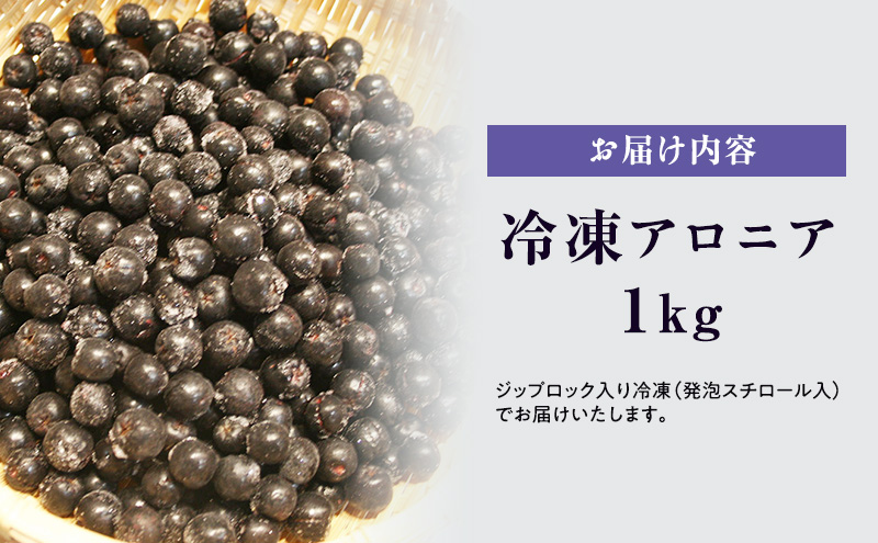 もりおかベリー（アロニア）冷凍果実1kg 岩手県盛岡市産 アロニア 冷凍 ジャム スムージー