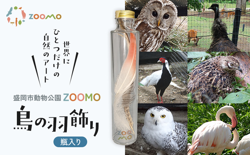 ZOOMO 鳥の羽飾り 盛岡市動物公園 ZOOMO オリジナル インテリア オリジナルグッズ グッズ 置物 おしゃれ かわいい 飾り 瓶飾り 雑貨 小物雑貨 動物園 動物愛護 支援 岩手 岩手県 盛岡市