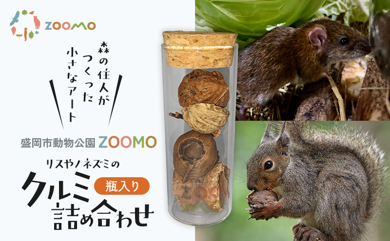 リスやノネズミのクルミ詰め合わせ 盛岡市動物公園 ZOOMO オリジナル クルミ くるみの殻 インテリア オリジナルグッズ グッズ 置物 おしゃれ かわいい 飾り 瓶飾り 雑貨 小物雑貨 動物園 動物愛護 支援 岩手 岩手県 盛岡市