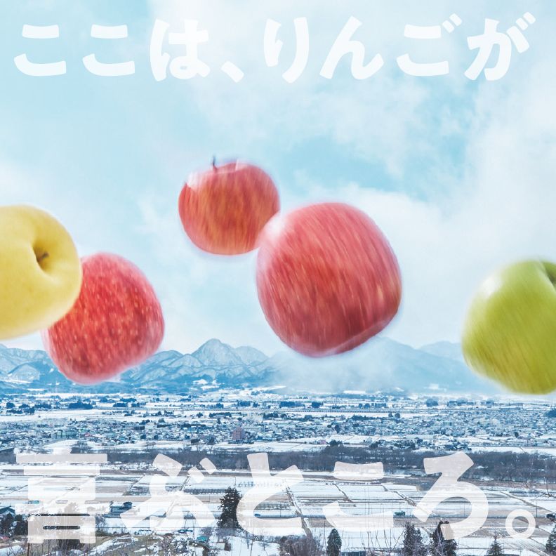 盛岡から「農で人をつなぐ」藤与果樹園：サンふじ10kg フルーツ 果物 旬のフルーツ 旬の果物 旬 冬 岩手 盛岡 産地直送 玉数指定不可 詰め合わせ 岩手 盛岡