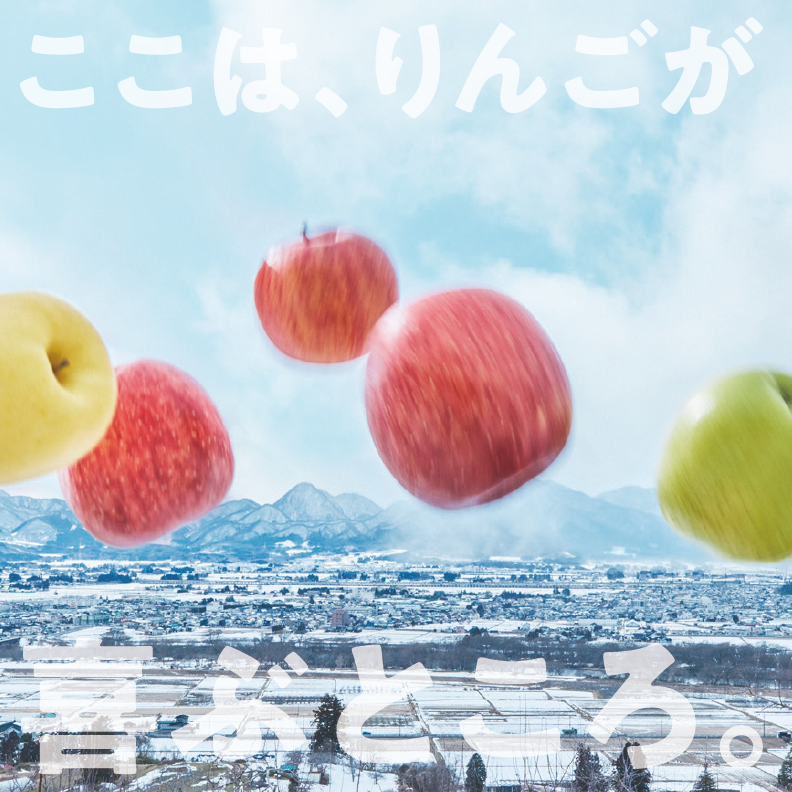 先行予約≪2025年12月初旬～発送≫【盛岡ブランド認証】サンふじ 5kg 16～18玉 りんご 盛岡りんご 盛岡市 岩手県 果物 フルーツ 安心 安全 自然栽培 甘い しゃきしゃき 食感 人気品種 ギフト ブランド認証 贈答用