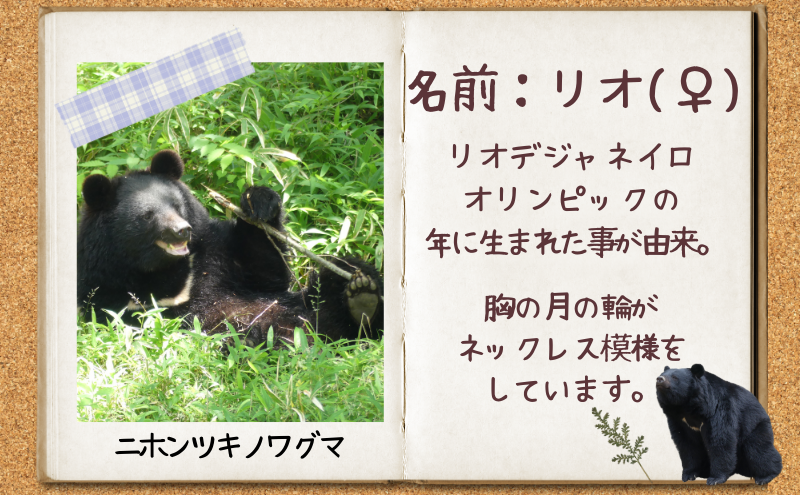 ベアレン 姫とリオの乾杯 ビール 350ml × 3本 セット ビール ベアレンビール クラフトビール お酒 酒 地酒 地ビール アルコール 缶 缶ビール 動物 愛護 動物園 動物保護 2025年ラベル 東北 岩手県 盛岡市