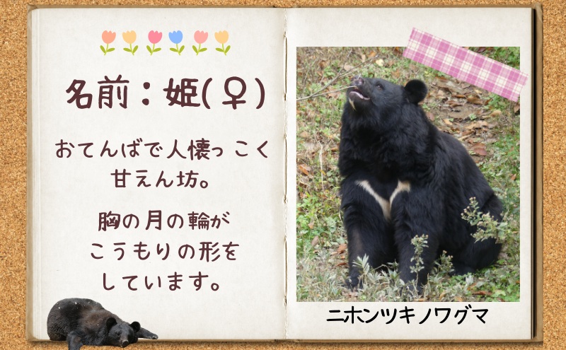 ベアレン 姫とリオの乾杯 ビール 350ml × 6本 セット ビール ベアレンビール クラフトビール お酒 酒 地酒 地ビール アルコール 缶 缶ビール 動物 愛護 動物園 動物保護 2025年ラベル 東北 岩手県 盛岡市