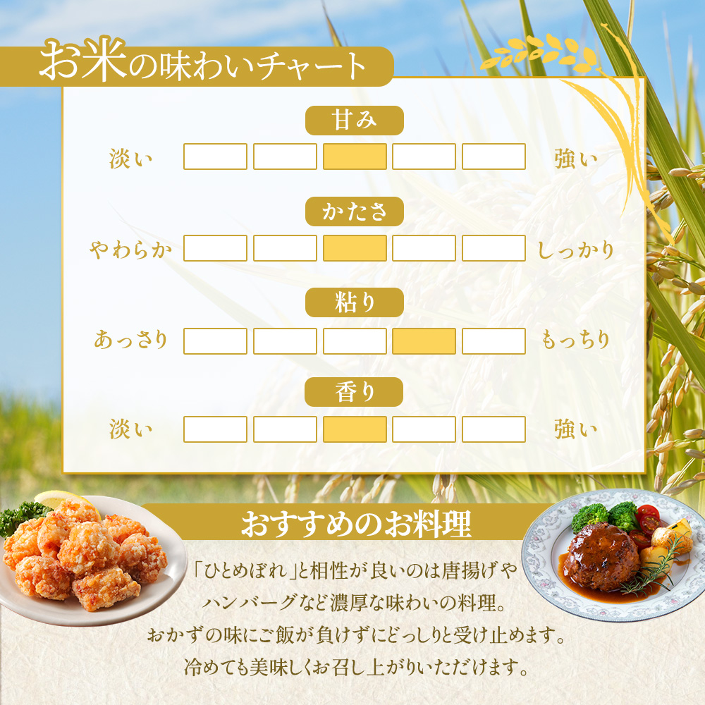 米 定期便 6ヶ月令和7年産 ひとめぼれ 10kg 岩手県産 お米 白米 精米 ブランド米 単一原料米 銘柄米 10キロ こめ おこめ ご飯 ライス 岩手県産米 令和7年 東北 岩手 岩手県 盛岡市 先行予約 定期 6回
