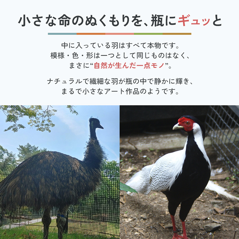 ZOOMO 鳥の羽飾り 盛岡市動物公園 ZOOMO オリジナル インテリア オリジナルグッズ グッズ 置物 おしゃれ かわいい 飾り 瓶飾り 雑貨 小物雑貨 動物園 動物愛護 支援 岩手 岩手県 盛岡市
