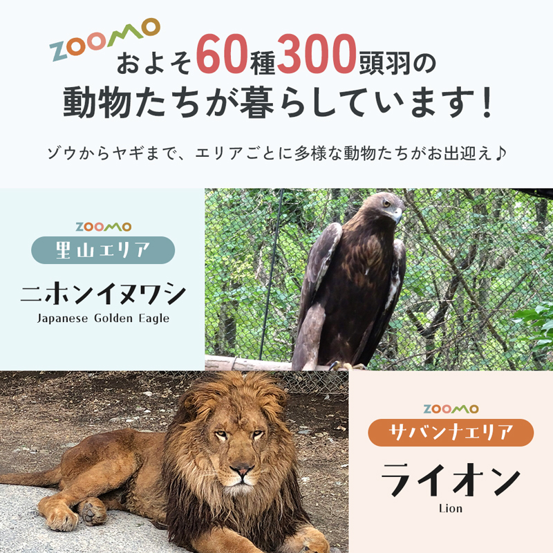 リスやノネズミのクルミ詰め合わせ 盛岡市動物公園 ZOOMO オリジナル クルミ くるみの殻 インテリア オリジナルグッズ グッズ 置物 おしゃれ かわいい 飾り 瓶飾り 雑貨 小物雑貨 動物園 動物愛護 支援 岩手 岩手県 盛岡市