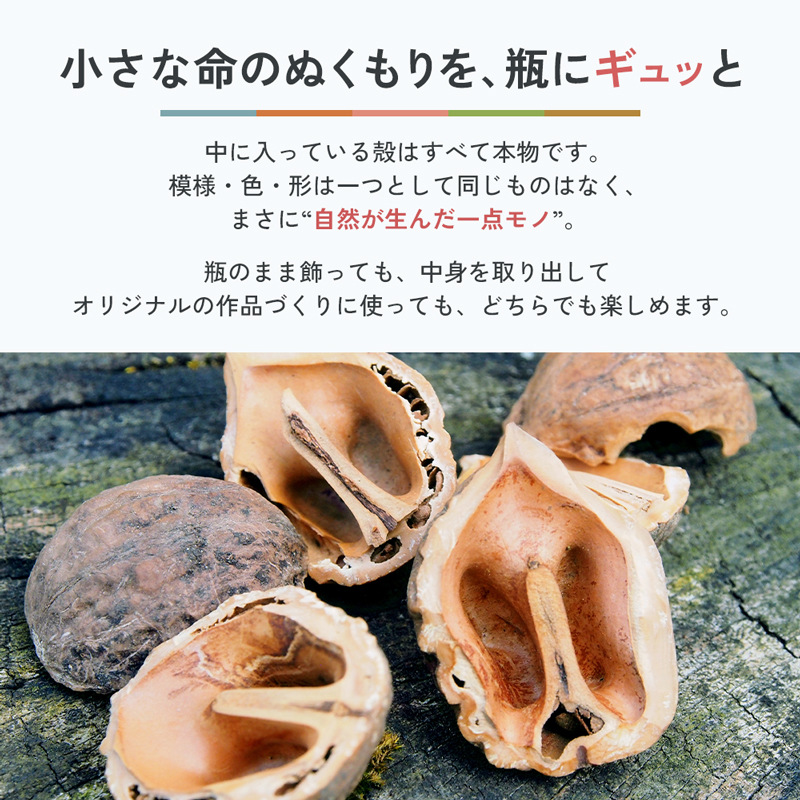 リスやノネズミのクルミ詰め合わせ 盛岡市動物公園 ZOOMO オリジナル クルミ くるみの殻 インテリア オリジナルグッズ グッズ 置物 おしゃれ かわいい 飾り 瓶飾り 雑貨 小物雑貨 動物園 動物愛護 支援 岩手 岩手県 盛岡市