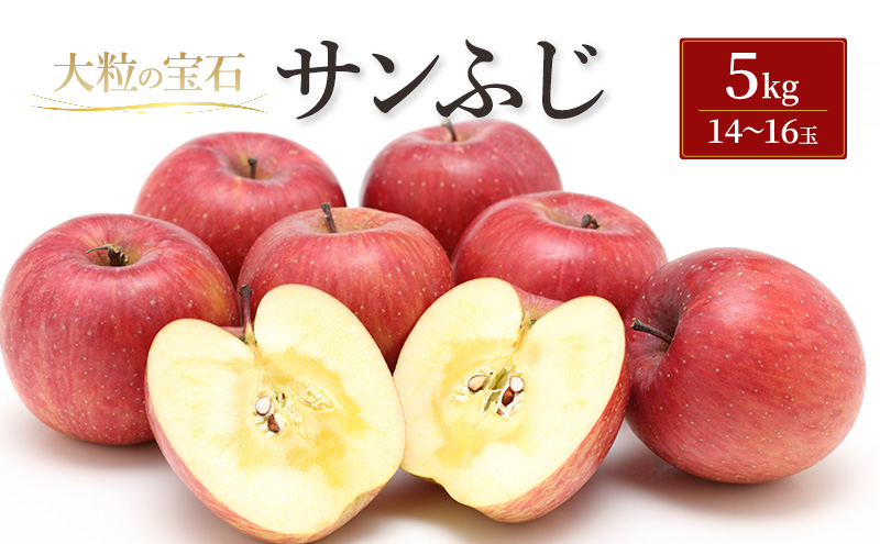 サンふじ 5kg（一般）林檎 リンゴ 果物 フルーツ おやつ デザート 旬の果物 旬のフルーツ 季節の果物 季節のフルーツ 岩手りんご 岩手県 盛岡市