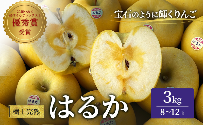樹上完熟はるか 約3kg 林檎 リンゴ 果物 フルーツ おやつ デザート 旬の果物 旬のフルーツ 季節の果物 季節のフルーツ 岩手りんご 岩手県 盛岡市