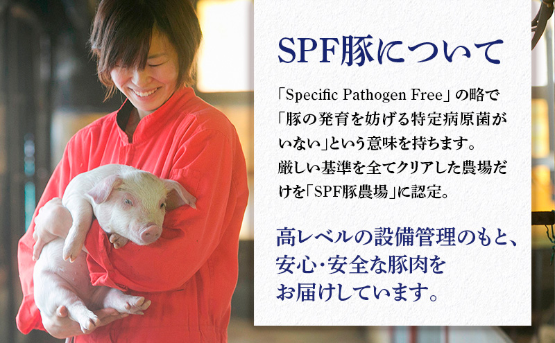 豚肉 岩中豚 定番 おかず 合計約 1kg 豚ロース 豚もも うす切り 生姜焼用 小分け セット 国産 豚 もも肉 お肉 肉 ブランド豚 ブランド豚肉 冷凍肉 生姜焼き 冷凍 冷凍配送 岩手 岩手県 盛岡 盛岡市