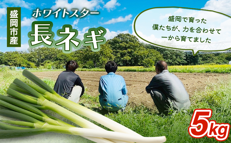 岩手県盛岡市産長ネギ 5kg ねぎ 新鮮 野菜 長ネギ 白ネギ 長ねぎ 白ねぎ 葱 国産 甘い 美味しい おいしい 鍋