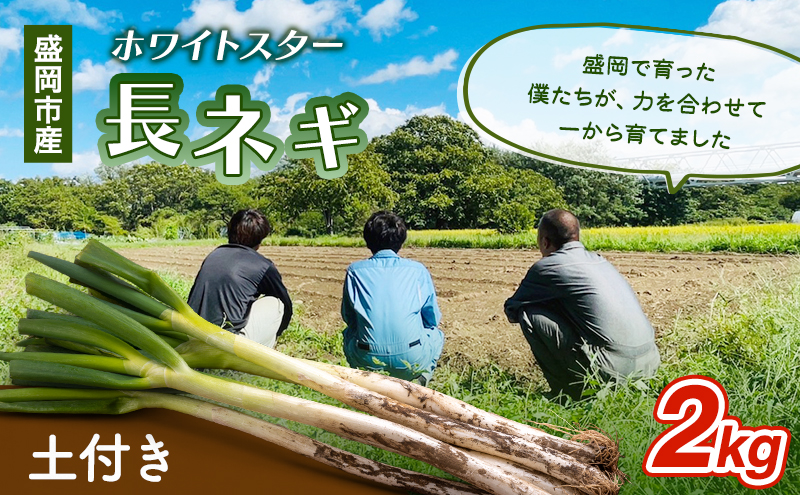 岩手県盛岡市産土付き長ネギ 2kg ねぎ 新鮮 野菜 長ネギ 白ネギ 長ねぎ 白ねぎ 葱 土付き 国産 甘い 美味しい おいしい 鍋