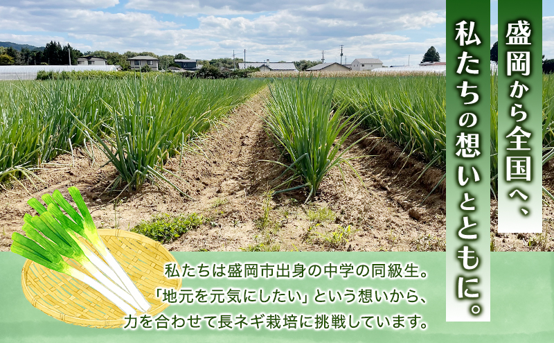 岩手県盛岡市産土付き長ネギ 4kg ねぎ 新鮮 野菜 長ネギ 白ネギ 長ねぎ 白ねぎ 葱 土付き 国産 甘い 美味しい おいしい 鍋