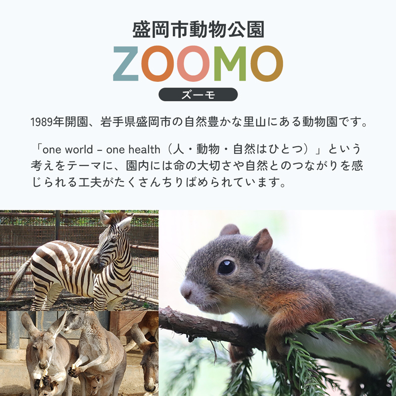 盛岡市動物公園ZOOMO入園チケット（小中学生5枚セット）