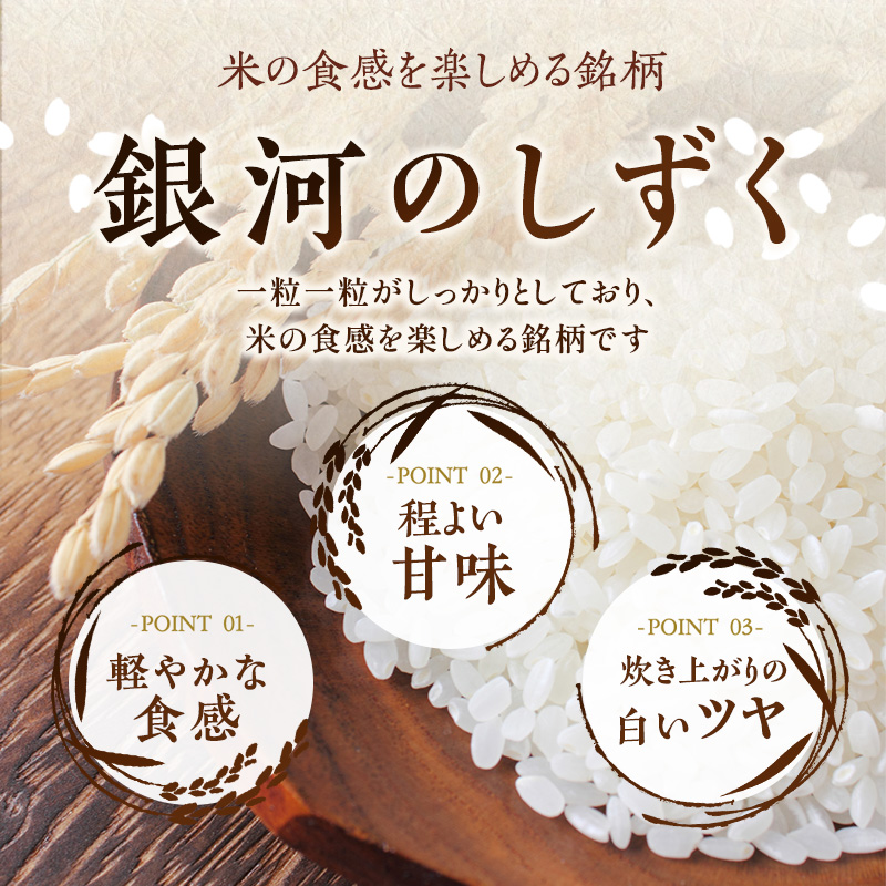 米 定期便 9ヶ月 銀河のしずく 5kg お米 精米 白米 こめ コメ おこめ ごはん お米マイスター 推奨 ブランド米 常温 国産 岩手県 岩手 盛岡市産 定期 お楽しみ 9回