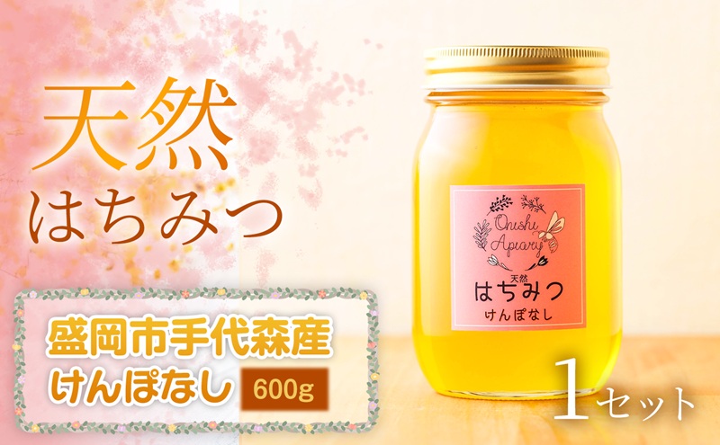 【四季の花が香る】 岩手県産天然はちみつけんぽなし（盛岡市手代森産）600g×1セット　岩手 盛岡市 国産 蜂蜜 無添加 無加工 季節の蜂蜜 天然 希少 濃厚 上品な香り スイーツ ご褒美 美容 健康食品 免疫力 美肌 ギフト プレゼント 贈答用
