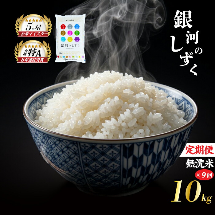 銀河のしずく 無洗米 10kg 5kg×2袋 米 定期便 9回 9ヶ月 連続 お届け 盛岡市産 いわて米 ブランド米 精米 白米 米 お米 こめ コメ ライス ご飯 ごはん 美味しい おすすめ贈り物 ぎんがのしずく 産地直送 盛岡 佐々木米穀店