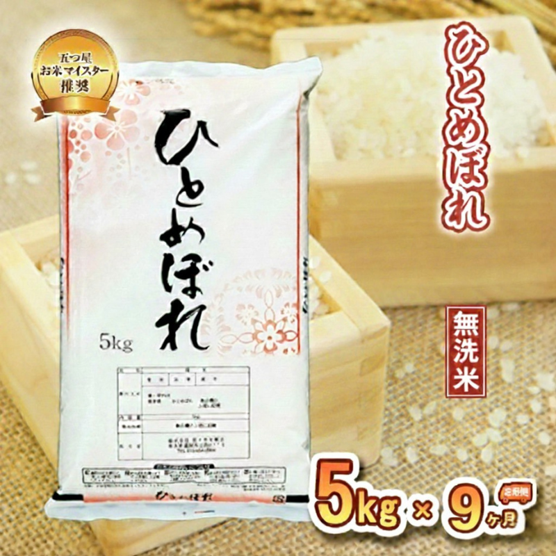ひとめぼれ 無洗米 5kg 定期便 9ヶ月 9回 精米 白米 お米 米 こめ コメ おこめ ごはん 五つ星お米マイスター推奨 ブランド米 岩手県産 盛岡市産 産地直送 農家直送 令和 新鮮 美味しい 粘り 岩手県 盛岡市 東北 岩手 盛岡 株式会社佐々木米穀店